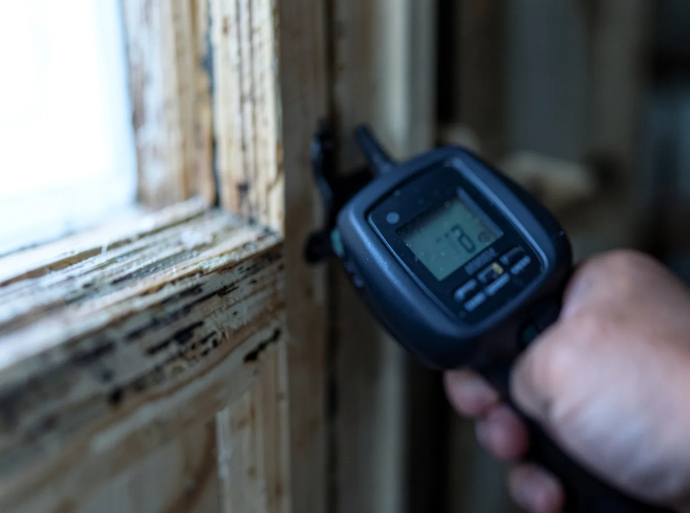 Moisture Inspection And Documentation in Redwater, TX